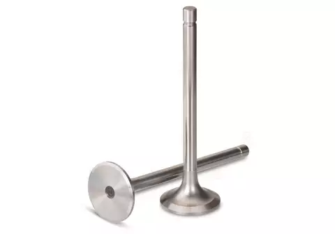 Engine valves - HOME